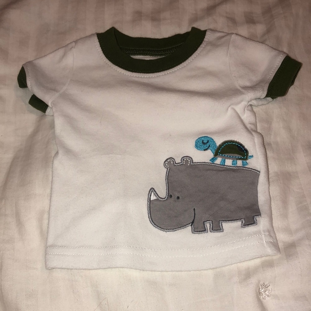 Rhino and the turtle